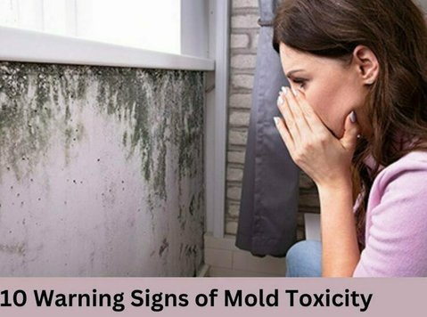 Top 10 Warning Signs of Mold Toxicity - Muu