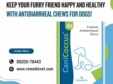 Canicoccus: Fast-acting Antidiarrheal Solution for Dogs - Pets/Animals