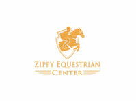 Zippy Horse training | Zippy Equestrian - Zwierzęta