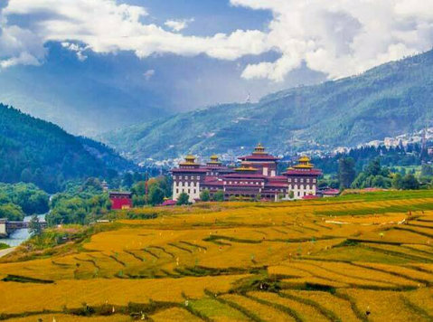 Bhutan package tour from Mumbai with Naturewings - Патување/Возење