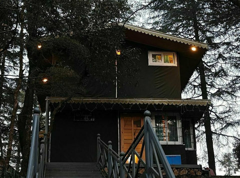 Luxury Glamping in Mussoorie – Treetop Glamps - Parteneri de Călătorie