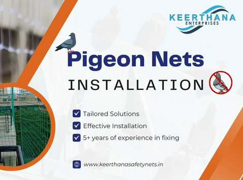 Kabutar Jali Net: Keeping Pune's Skies Free from Pigeon Intr - Строительство/отделка
