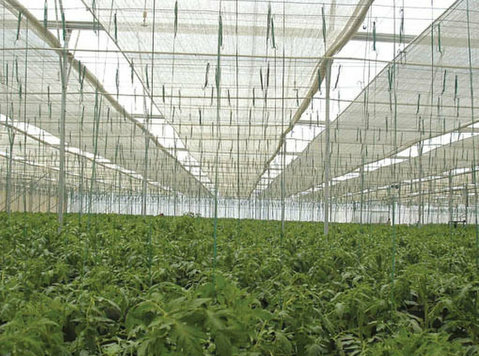 Control the Heat: Greenhouse Shade Nets for Every Grower - Κηπουρική