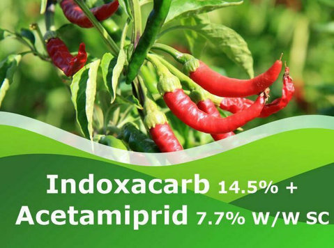 Indoxacarb 14.5% + Acetamiprid 7.7% w/w sc | Peptech Bioscie - باغبانی