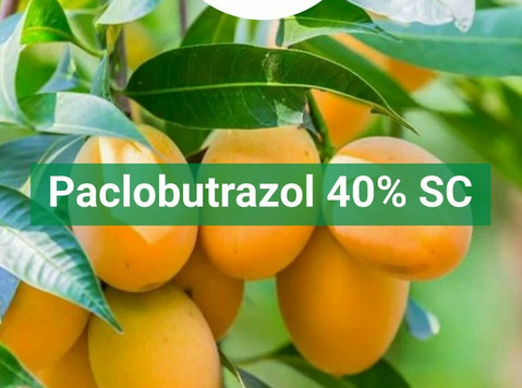 Paclobutrazol 40% Sc | Peptech Bioscience Ltd | Manufacturer - Градинарство