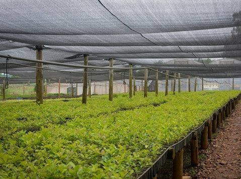 Your Trusted Shade Net Manufacturer for Sustainable Farming - Vrtlarstvo