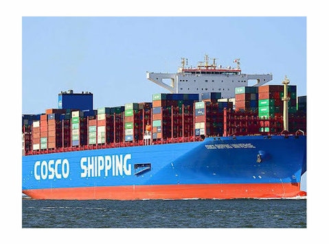 Fast-secure Cargo Service International Shipping Available - Flytting/Transport