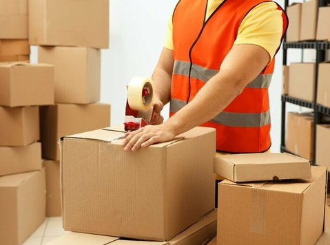 Fedex International Courier Service - Moving/Transportation
