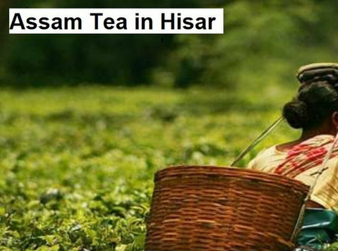 Discover the Finest Assam Tea in Rohtak - Unwind with Every - אחר