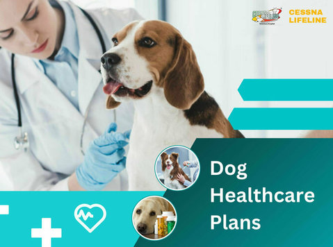 Dog Healthcare Plan - Iné