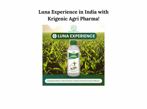 Elevating Agricultural Excellence: Luna Experience in India - אחר