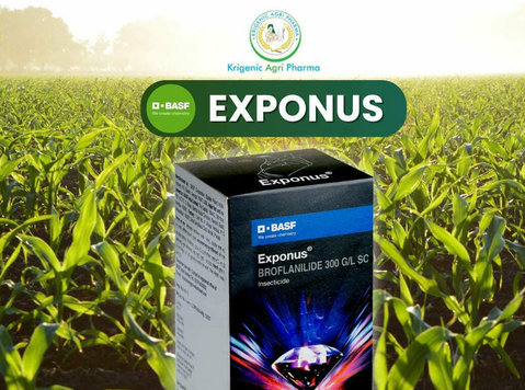 Exponus: Empowering Indian Farmers through Technological - Otros