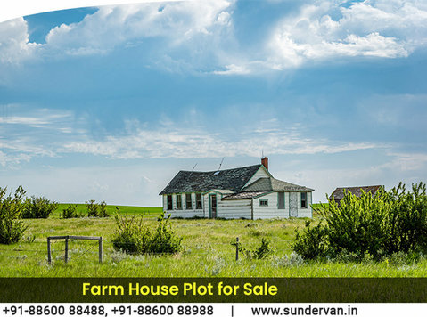 Farm House Plot for Sale - 其他
