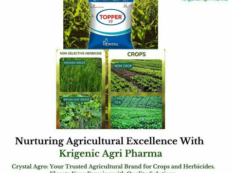 Nurturing Agricultural Excellence With Krigenic Agri Pharma - Andet