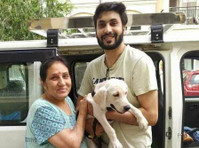 Pet Transport Service in India - மற்றவை
