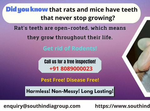 Rodent Control Services in Goa - Altro