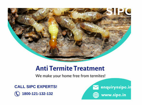 Termite Pest Control in Goa - Lain-lain