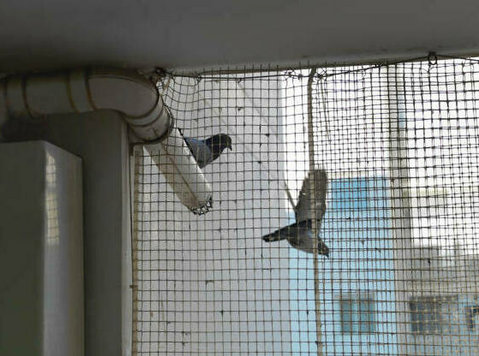 best balcony safety nets in Bangalore - その他