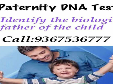 paternity dna test - Services: Other