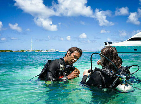A complete overview of conducting open water diver course - Спорт/йога