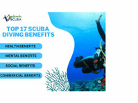 Check Out Top 17 Most Effective Benefits of Scuba Diving - Olahraga/Yoga