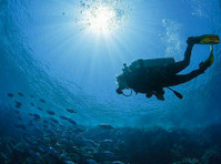 Enroll in Ssi Specialty Courses in Andaman | Seahawks Scuba - スポーツ/ヨガ