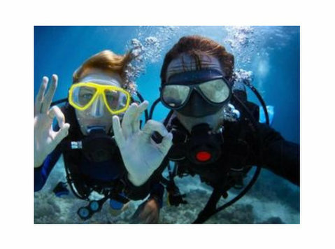 Best Fun Dive Sites in Andaman | Seahawks Scuba - Diğer