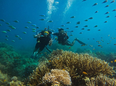 Book Scuba Diving in Havelock - Explore Colorful Marine Life - Outros
