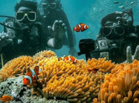 Book Scuba Diving in Havelock - Explore Colorful Marine Life - Iné