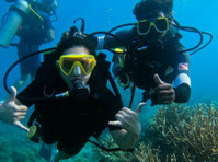 Book Scuba Diving in Havelock - Explore Colorful Marine Life - Services: Other