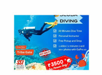 Book the most enchanting Andaman scuba diving | Seahawks Scu - Altro