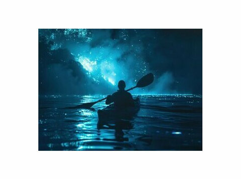Experience The Best Night Kayaking in Havelock Island - Ostatní