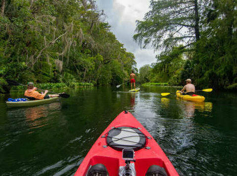 Explore Kayaking in Andaman - Sail Across Tranquil Tropical - Services: Other