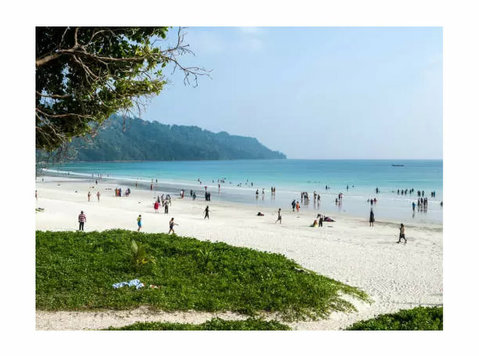 Explore The Best Time to Visit Andaman Islands - Services: Other