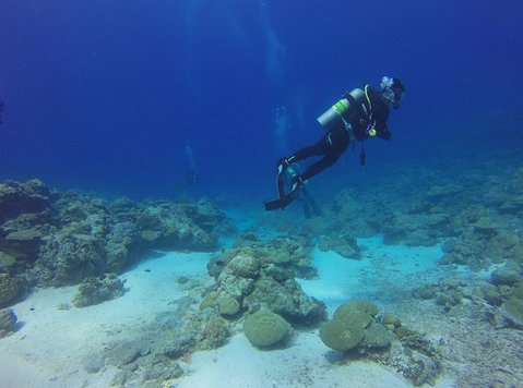 Explore Top 6 Deep Dive Sites on Havelock Island - Muu