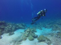 Explore Top 6 Deep Dive Sites on Havelock Island - Ostatní