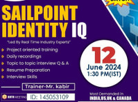 Sailpoint Identity Iq Online Training New Batch - Lain-lain