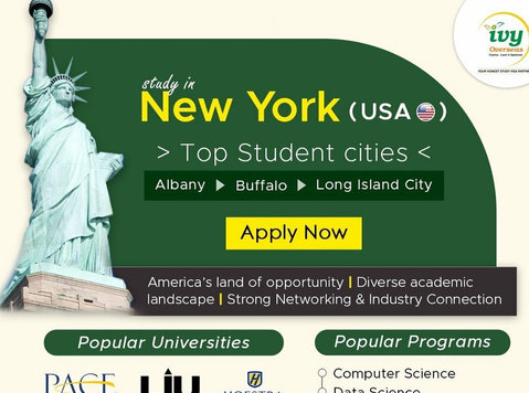 Study in USA Scholarships - Khác