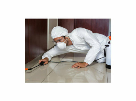 MM Pest Control – Serving All Major Cities in India! - Services: Other