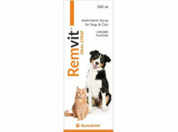 Buy a Nutrient-rich Multivitamin Syrup for Dogs - 其他
