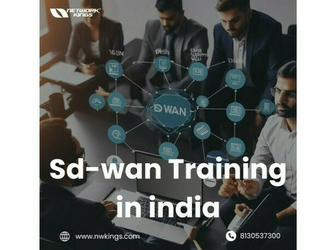 SD-wan Training in India - אחר