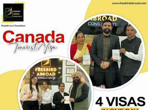 Canada Visitor Visas and Study Visas Consultants in Chandigr - Egyéb