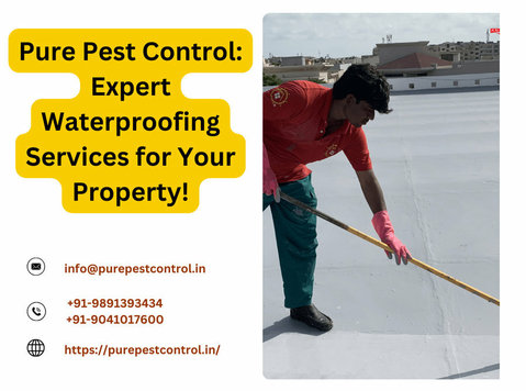 Get Pure Pest Control Waterproofing Solutions at cheap Rates - Services: Other