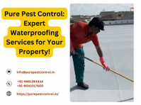 Get Pure Pest Control Waterproofing Solutions at cheap Rates - Muu