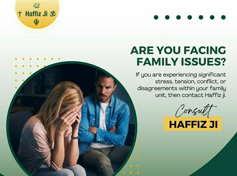 The Best Family Problem Solution Astrologer in Chandigarh - אחר