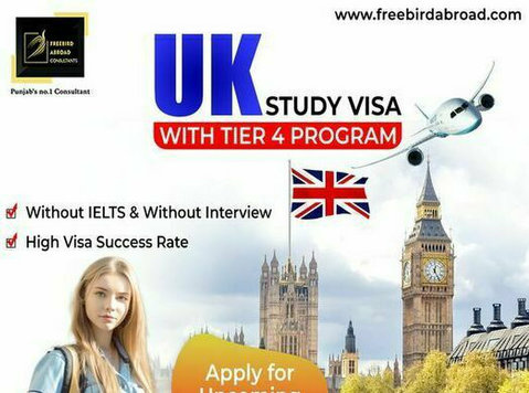 Uk Study Visa With Tier 4 Program - Otros