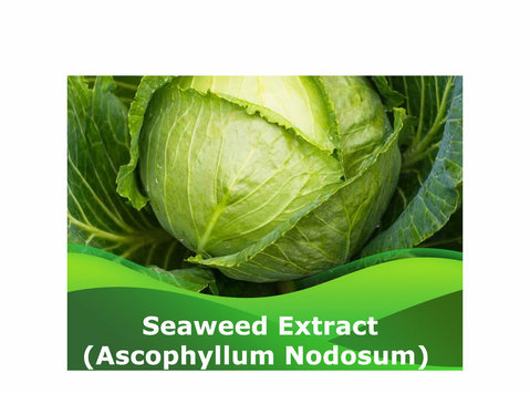 Best buy Seaweed extracts at Peptech Bioscience Ltd - Άλλο
