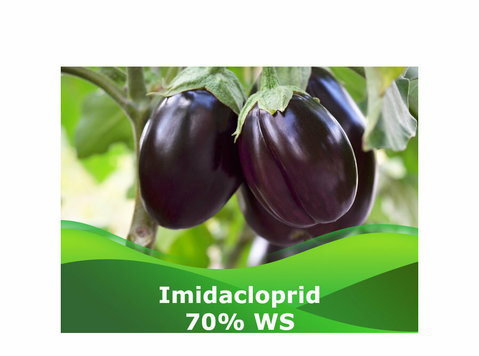Find Best Imidacloprid 70% Ws at Peptech Biosciences Ltd - Muu