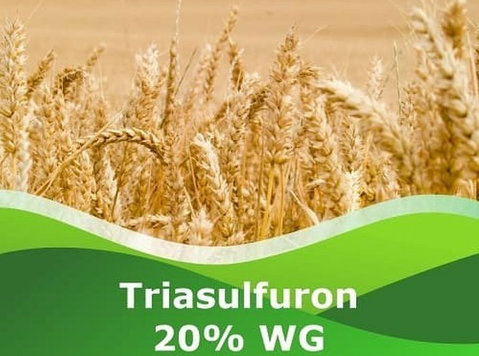 Find Best Triasulfuron 20% Wg at Peptech Bioscience Ltd - Outros