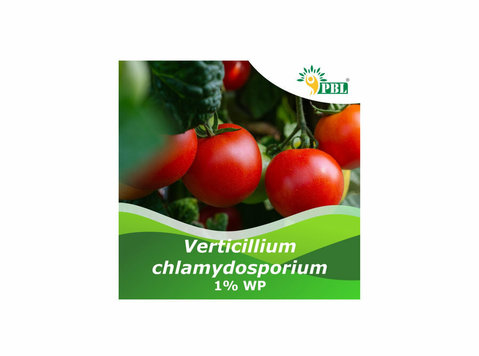Find Best Verticillium chlamydosporium 1% WP - Iné